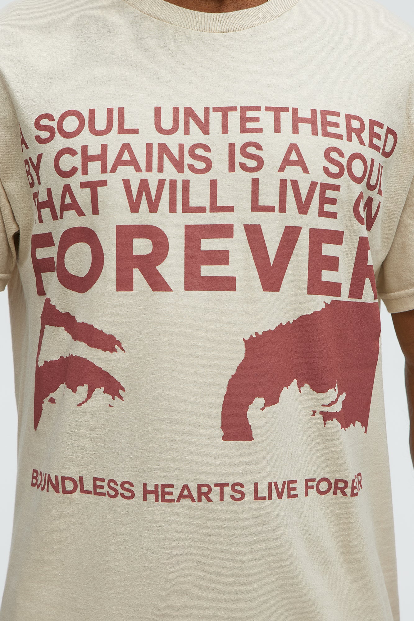 A Soul Untethered Short Sleeve Tee - Taupe - Image 3