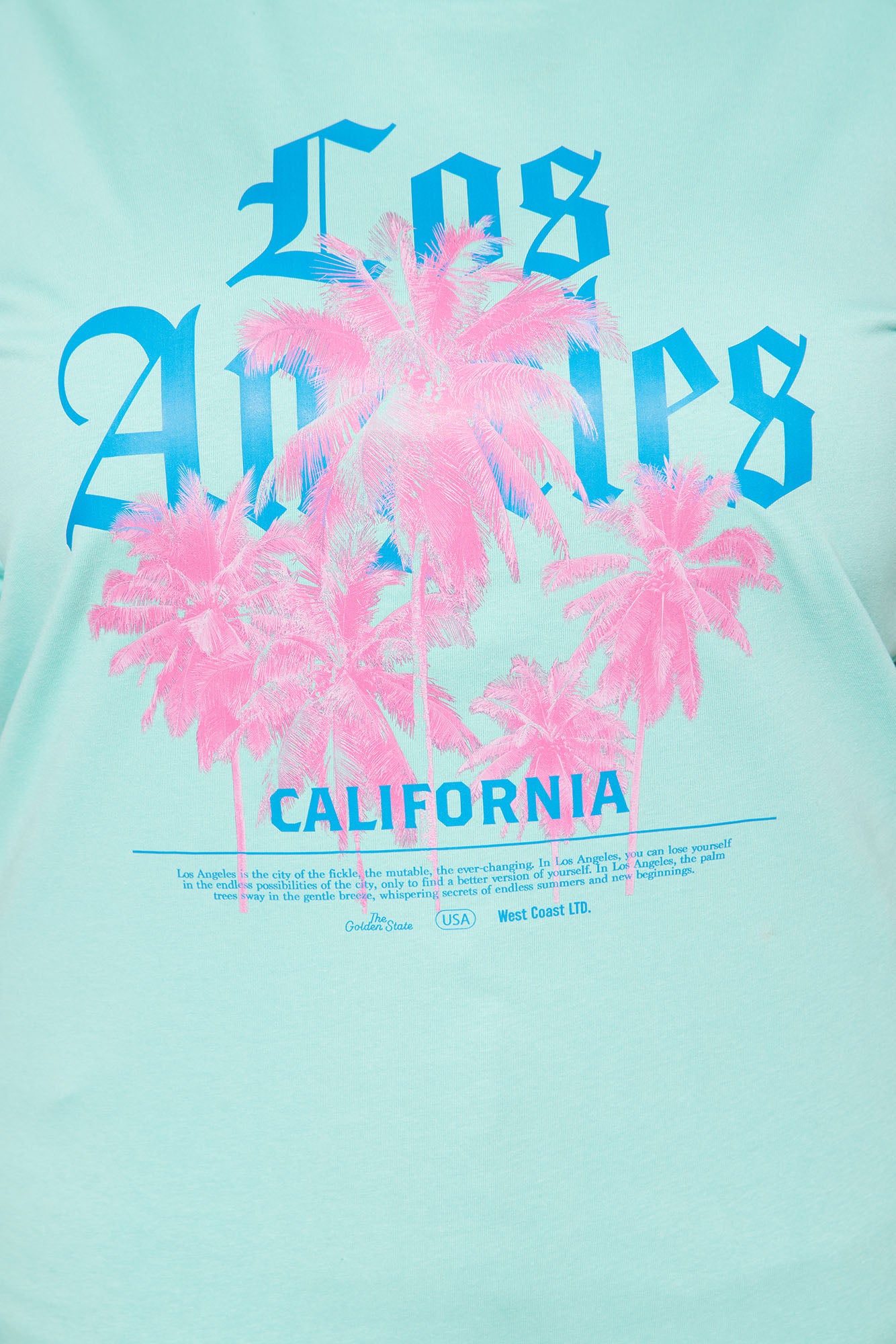 LA Palms Graphic Tshirt - Aqua - Image 5