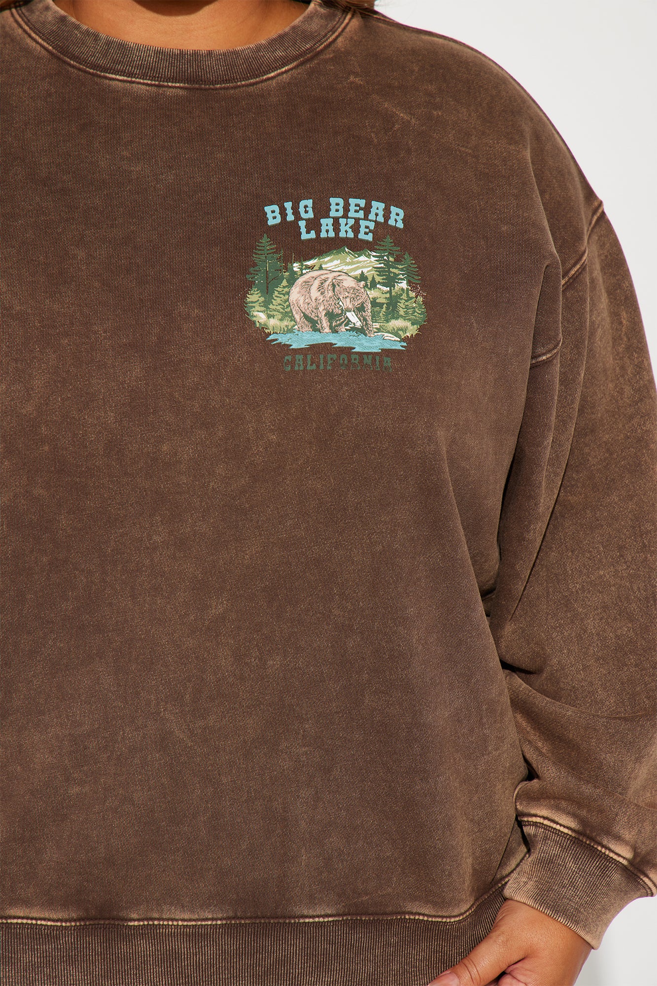 Big Bear Sweatsuit - Brown - Image 7