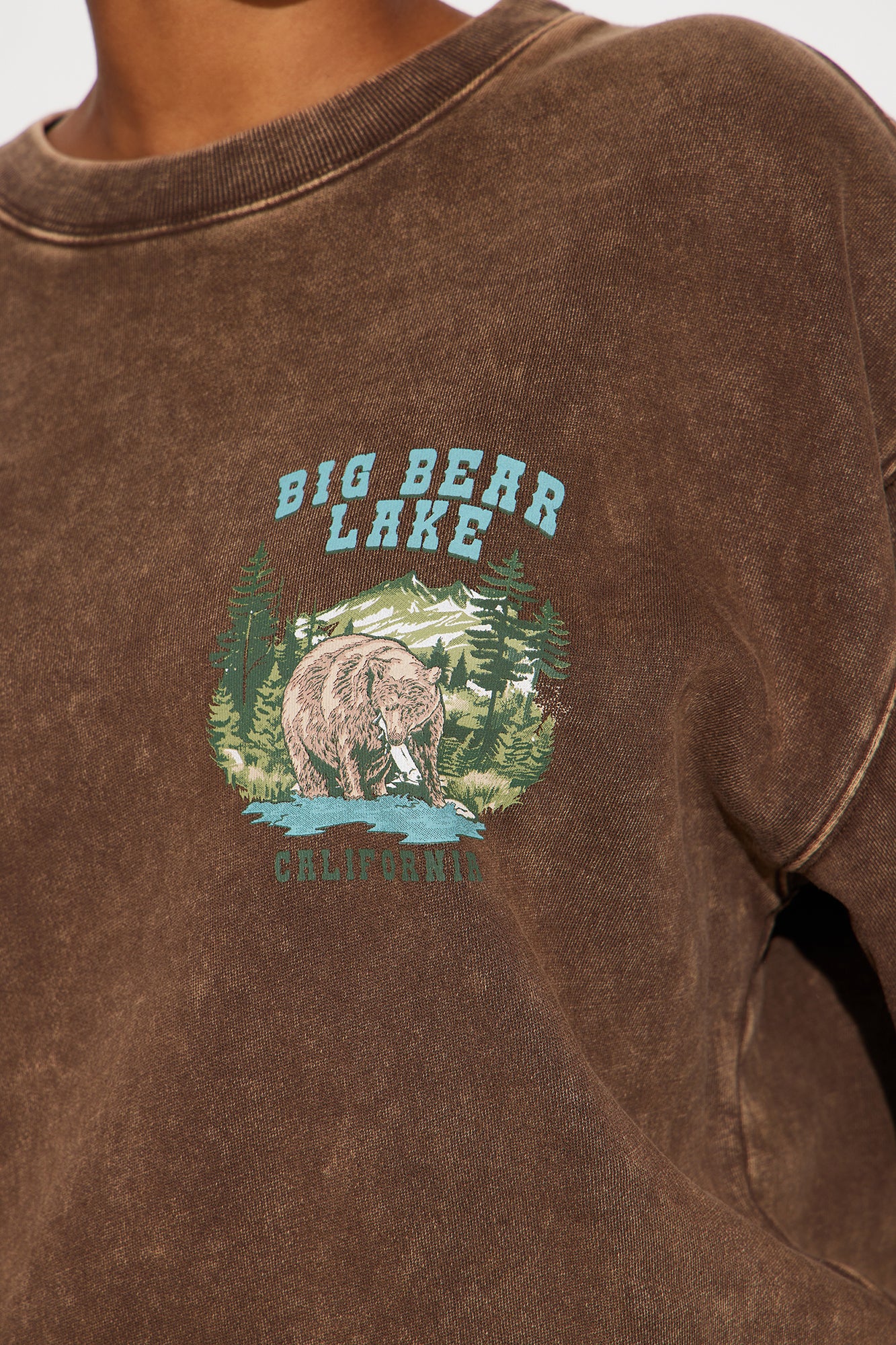 Big Bear Sweatsuit - Brown - Image 3