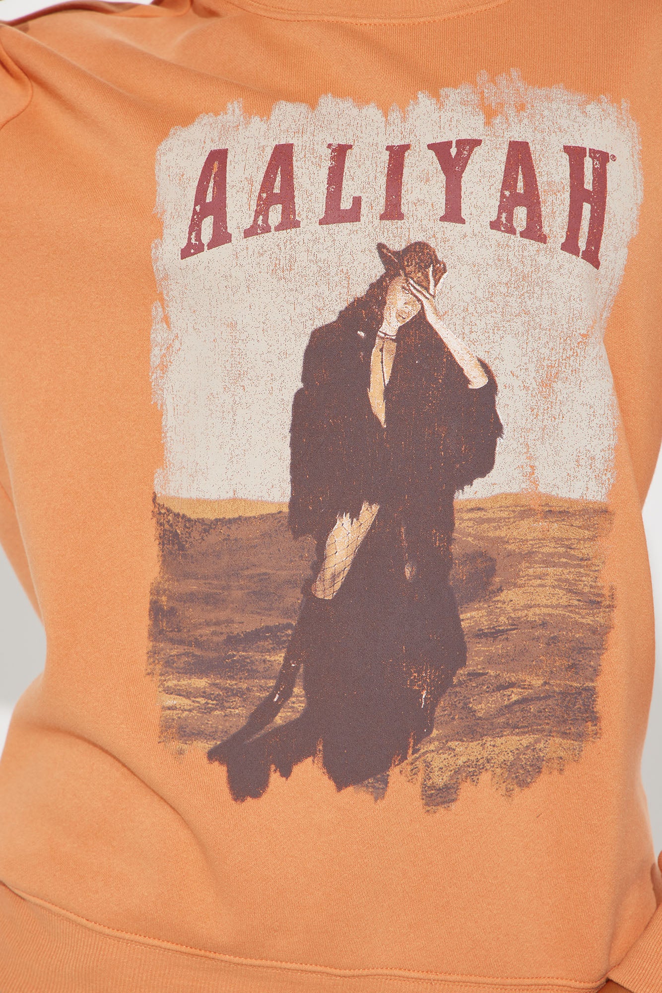 Aaliyah Wild West Crew Neck Sweatshirt - Rust - Image 4